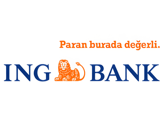 ing bank subeleri